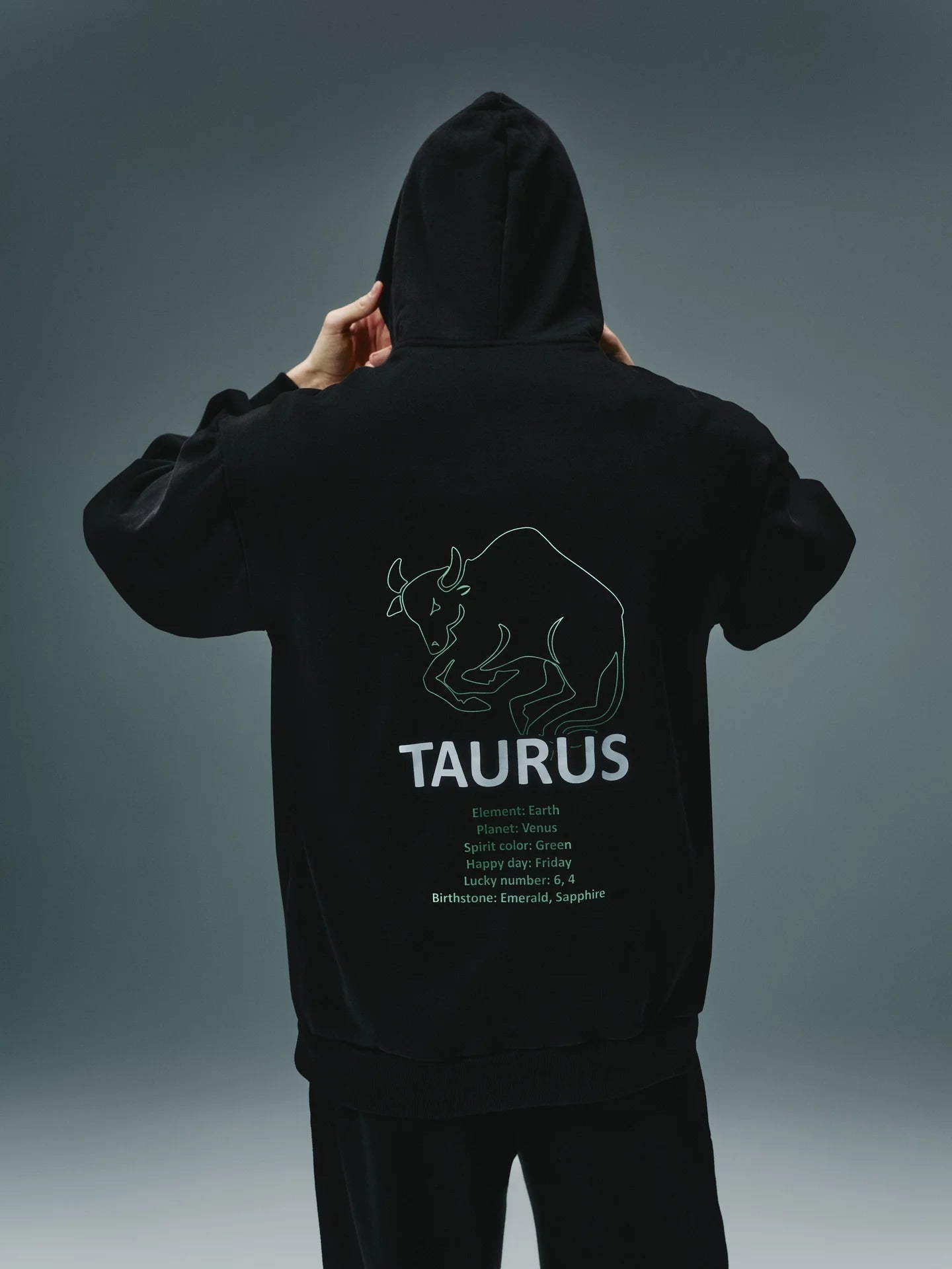 Hoodie with the Zodiac Sign Capricorn